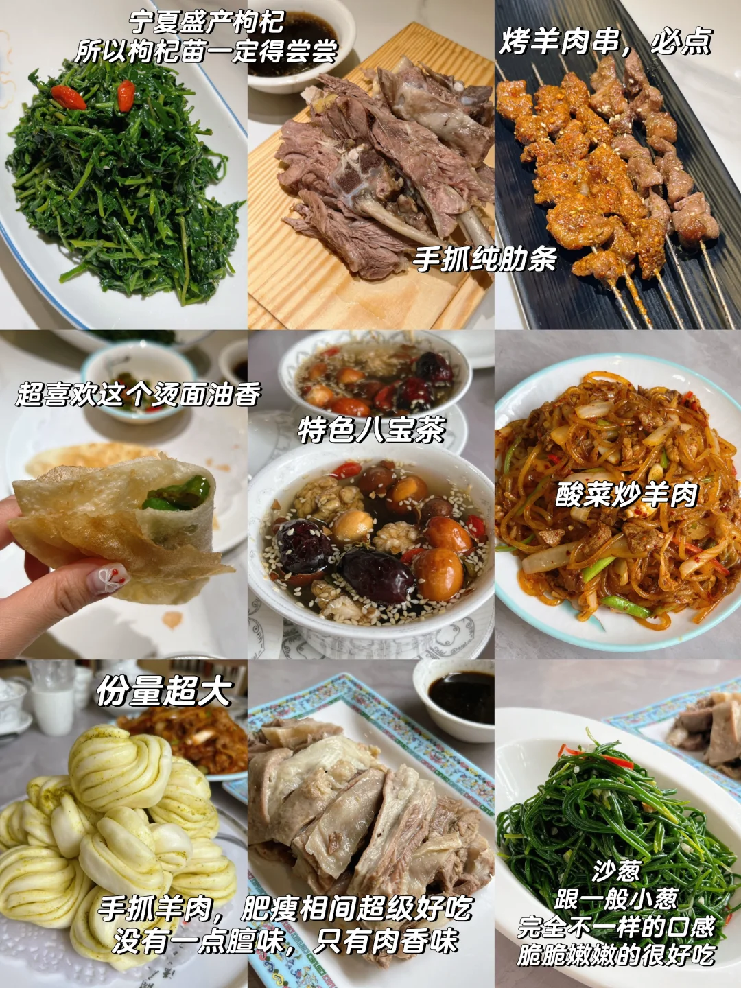 银川|超绝松弛感的塞上江南行(详细版)