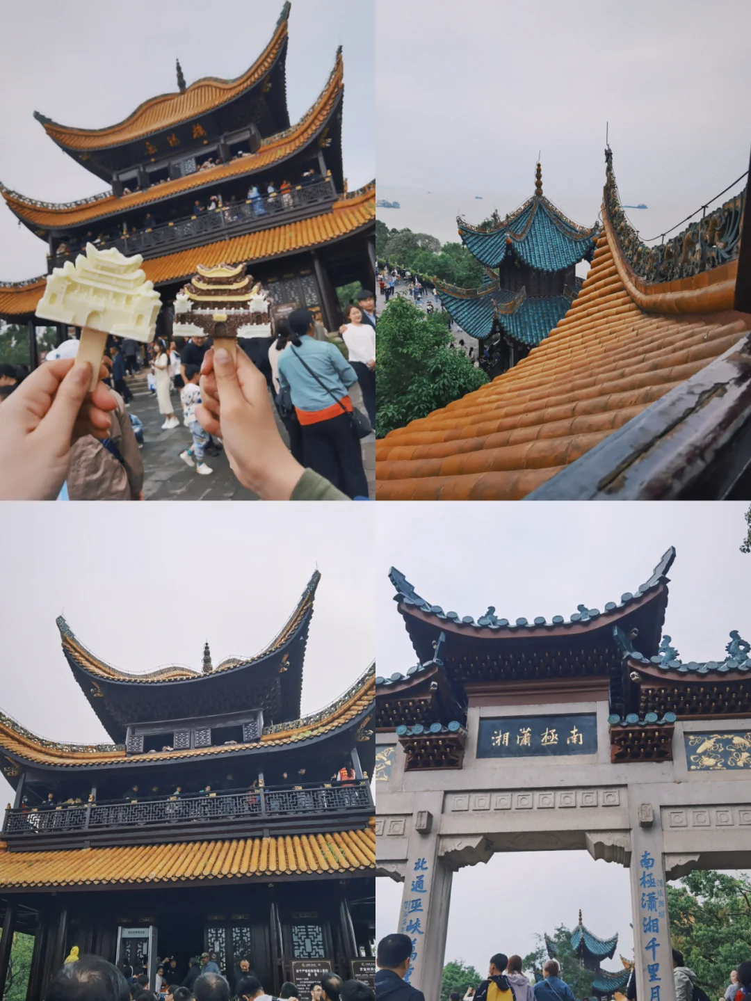跟着书本去旅行——岳阳行程篇