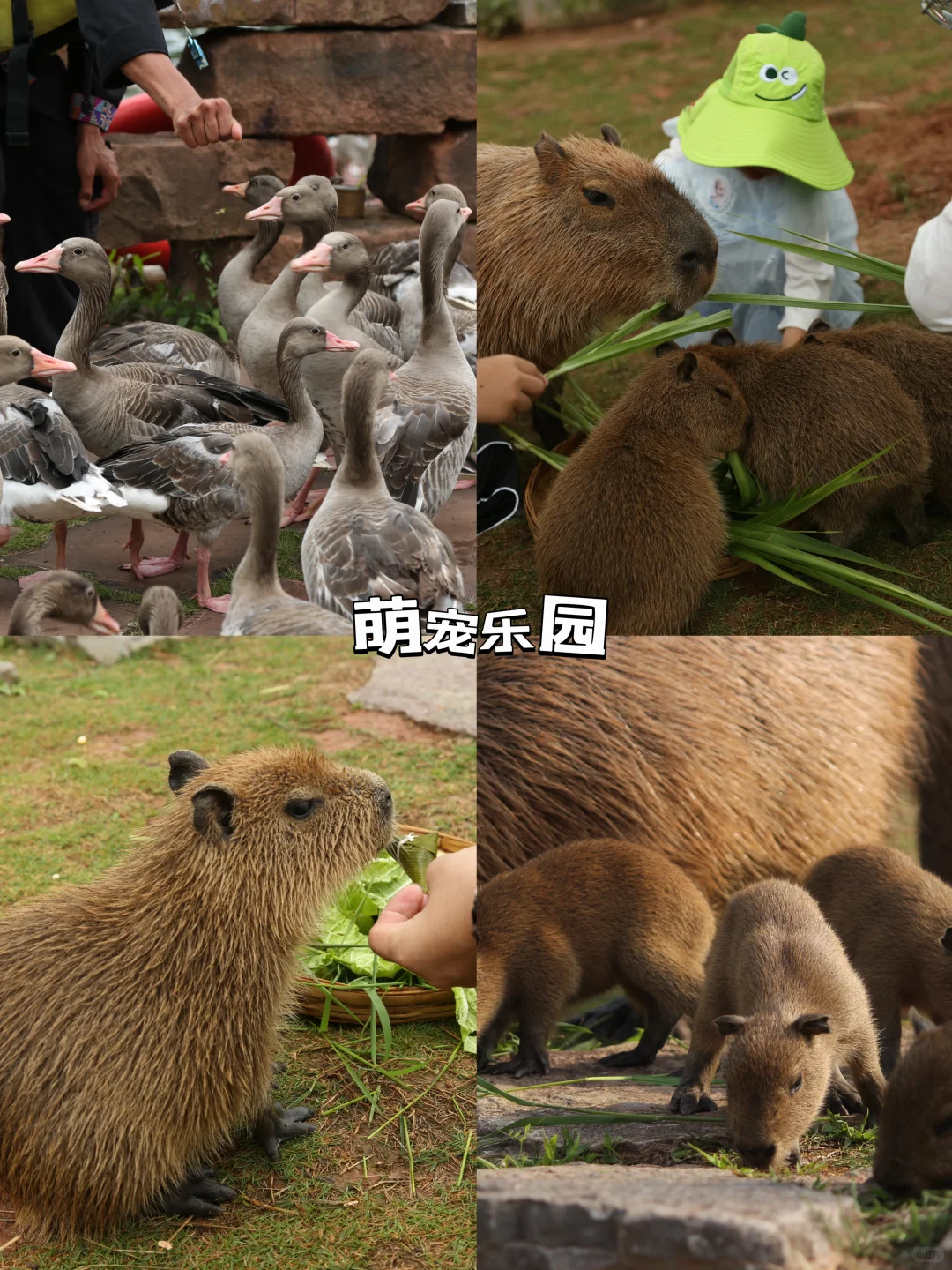 云南普洱｜一个值得N刷的宝藏旅游地