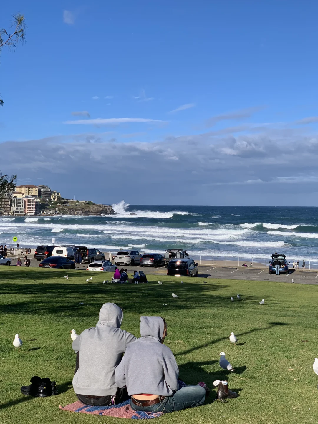 反季节的浪漫 南半球的海美到失语