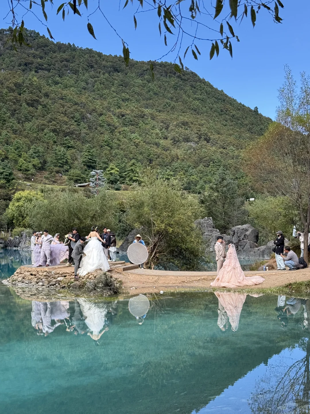玉龙雪山去牦牛坪还是云杉坪，看这篇就够了