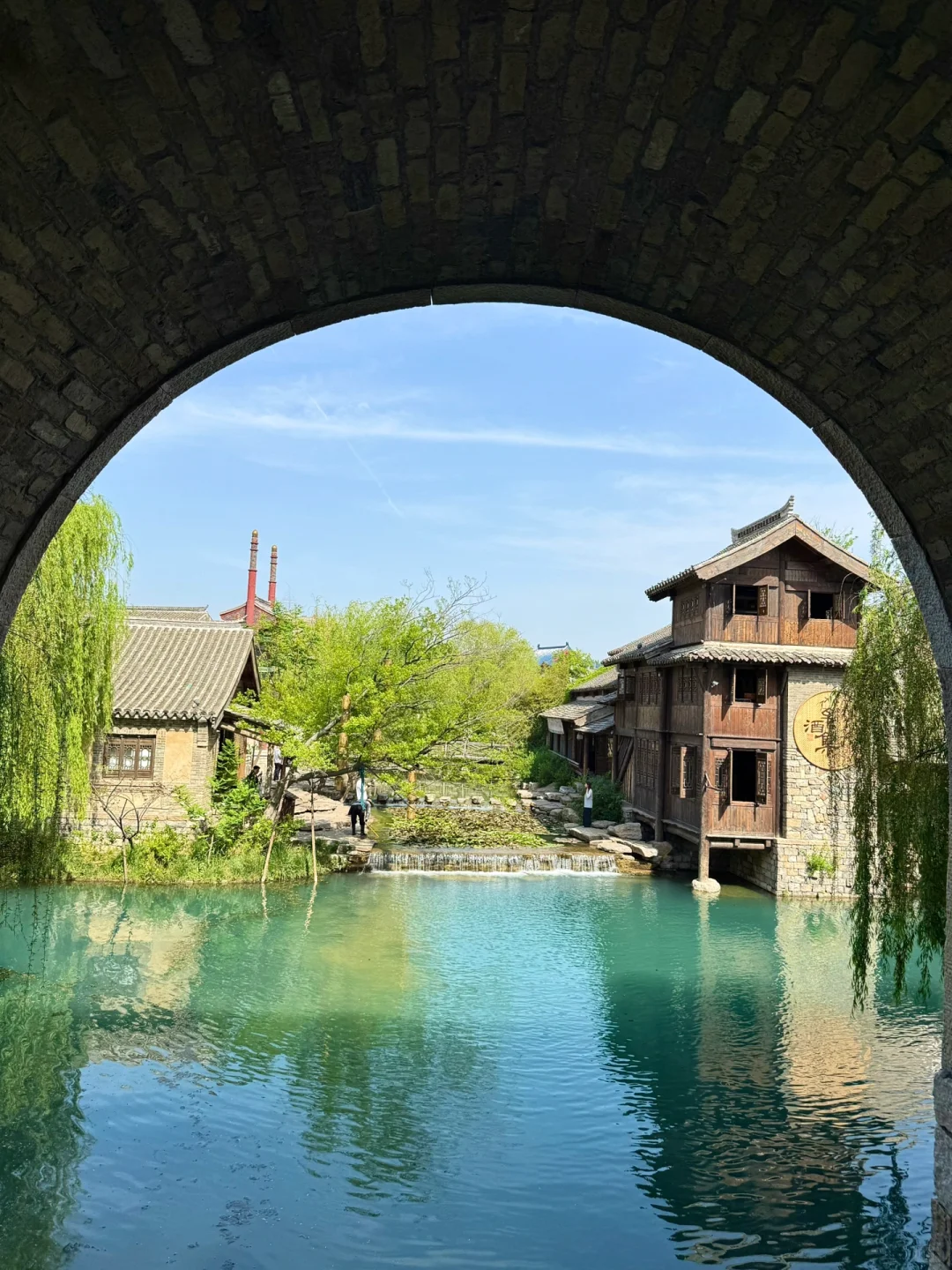 你说一句春不晚，我便来山东下“江南”