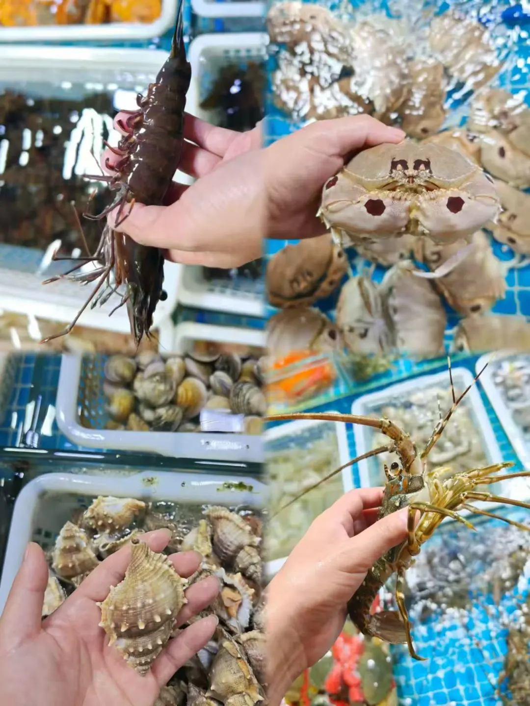 双月湾遛娃5天4晚｜挖沙赶海疯玩不重样🌊