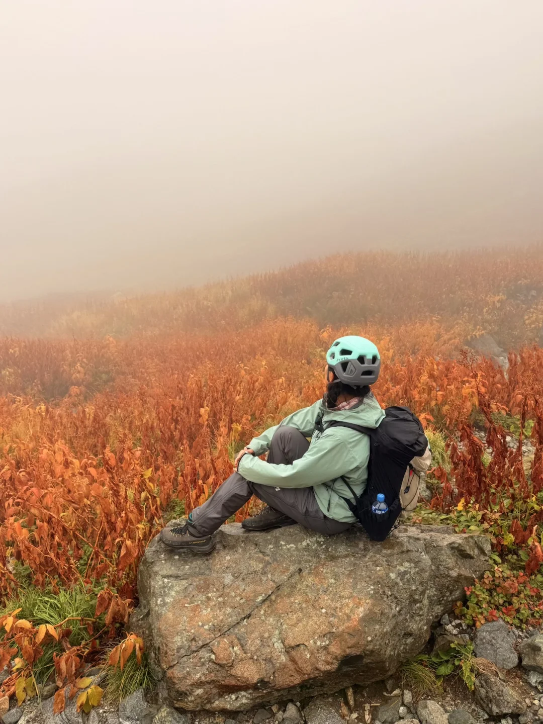 10.05油画立山🍁实况🧡💛❤️附拍照机位攻略
