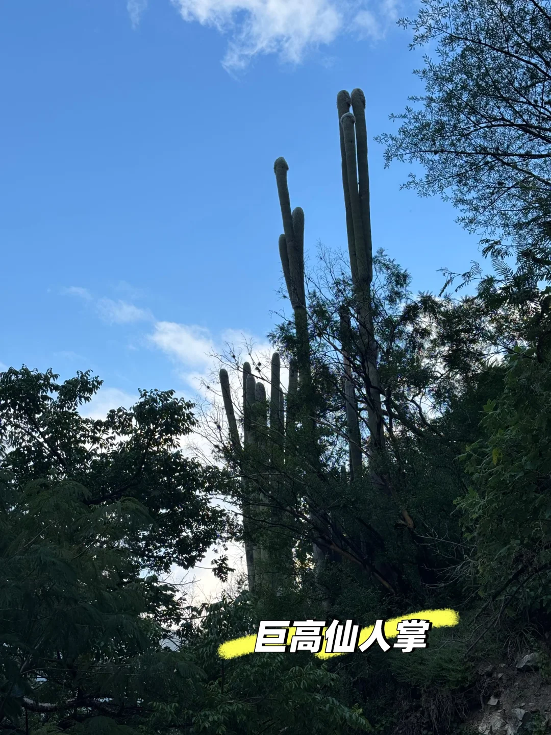 🇲🇽Tolantongo|墨西哥宝藏天然温泉♨️