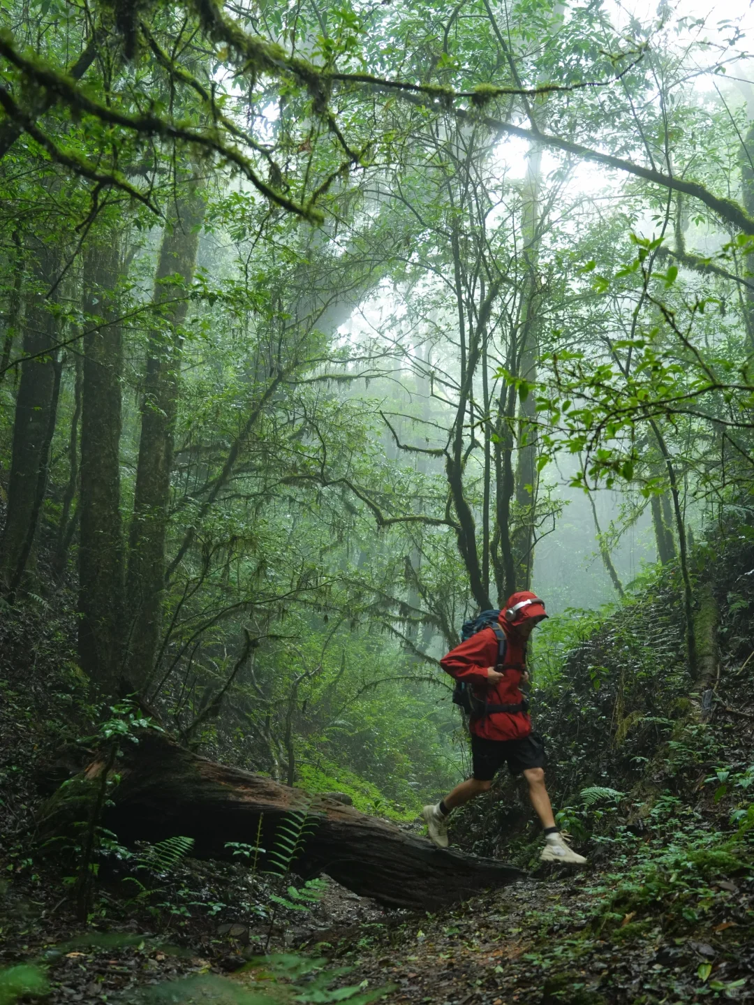 这是我至今为止走过最美的徒步路线!