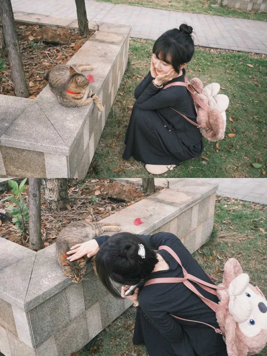 楼下小猫