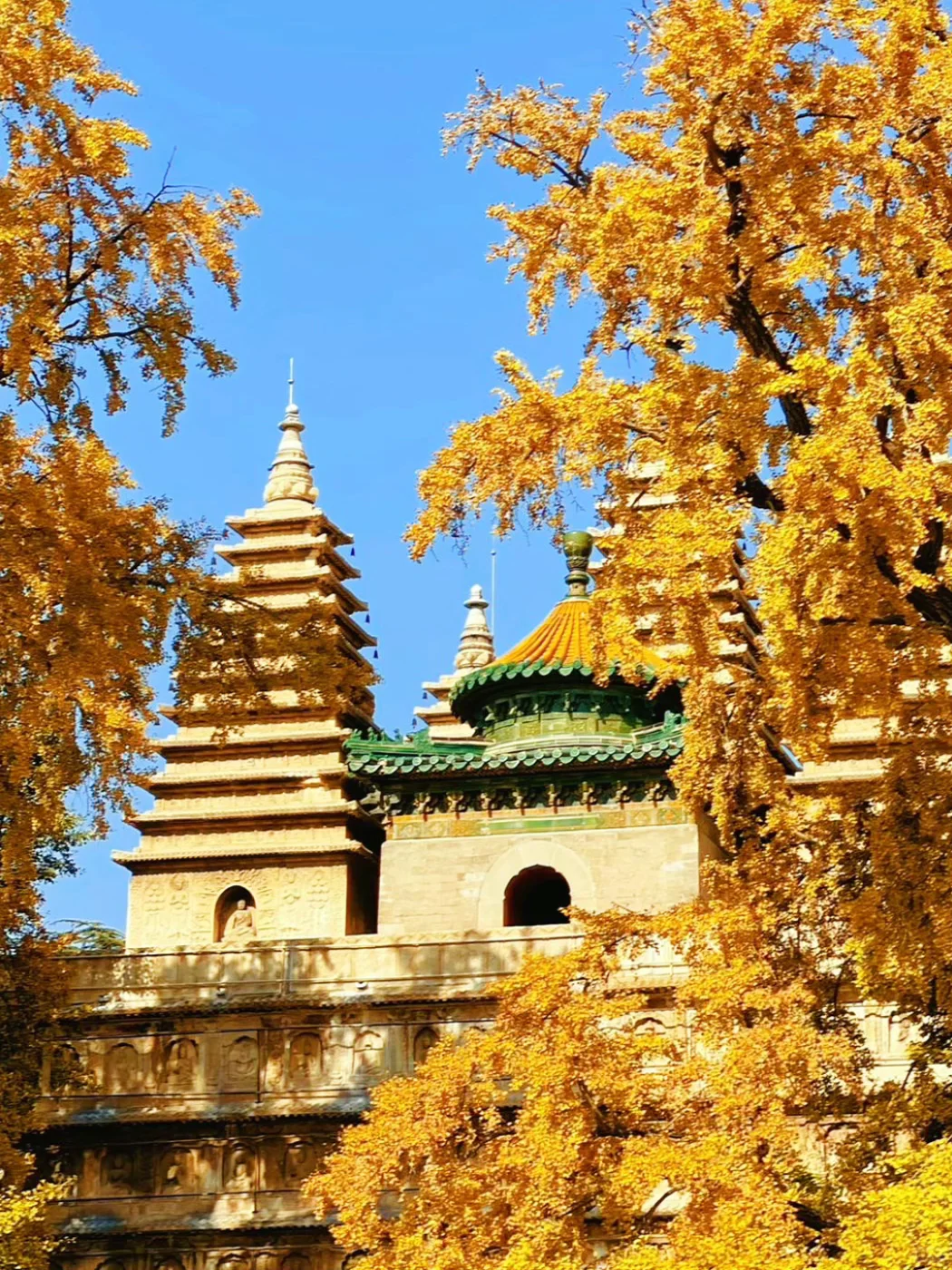 北京的秋天不这样玩儿等于白来！美到窒息！