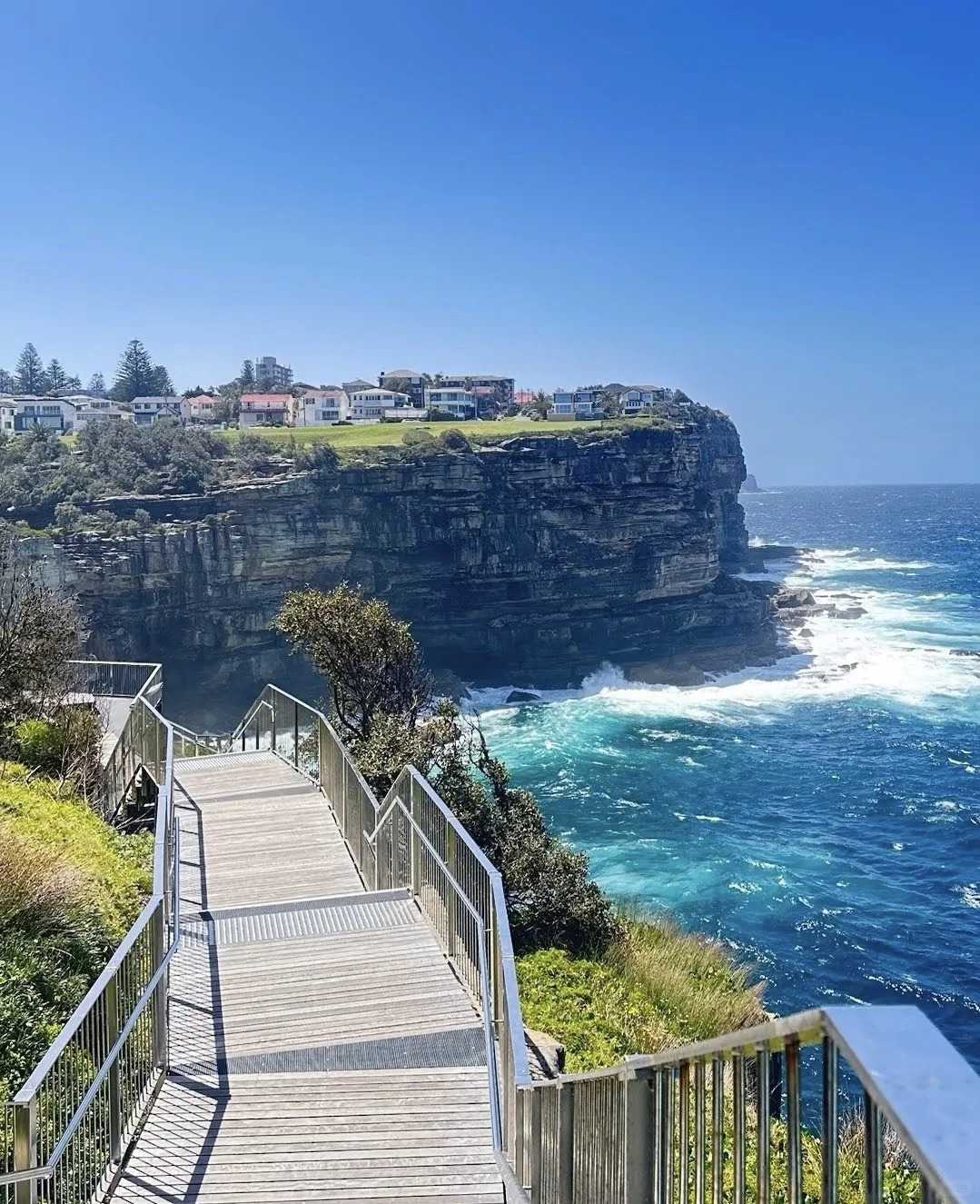 🇦🇺悉尼99%游客都错过的神仙玩法！