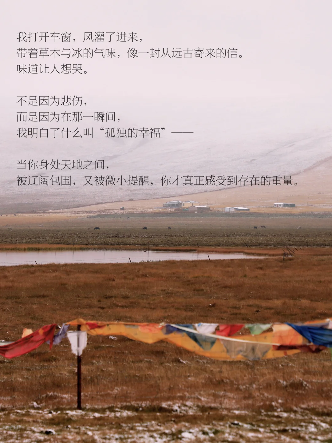 人为什么在辽阔天地面前，会无声流泪。