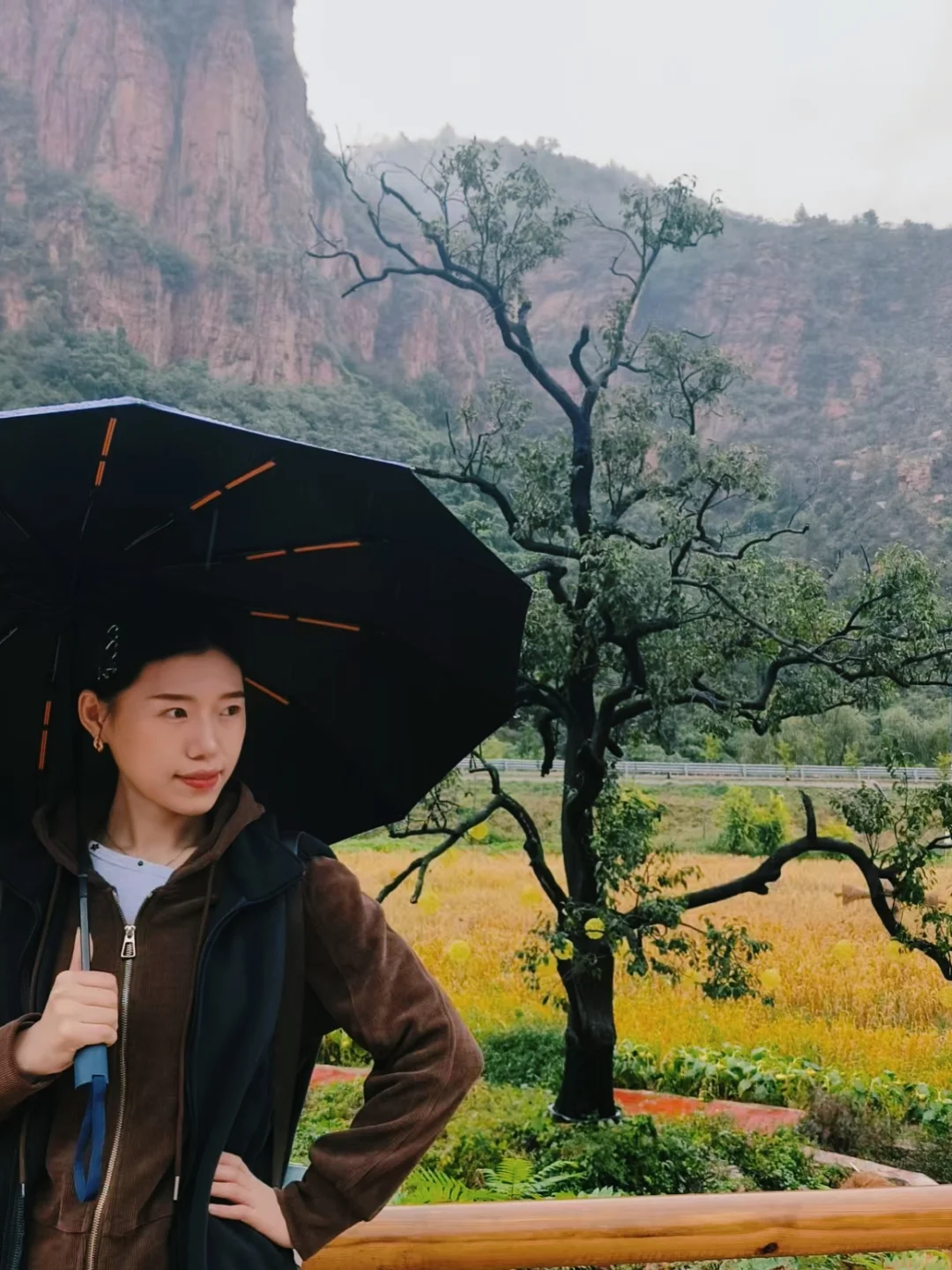 下雨天不想宅家，来感受“仙境”
