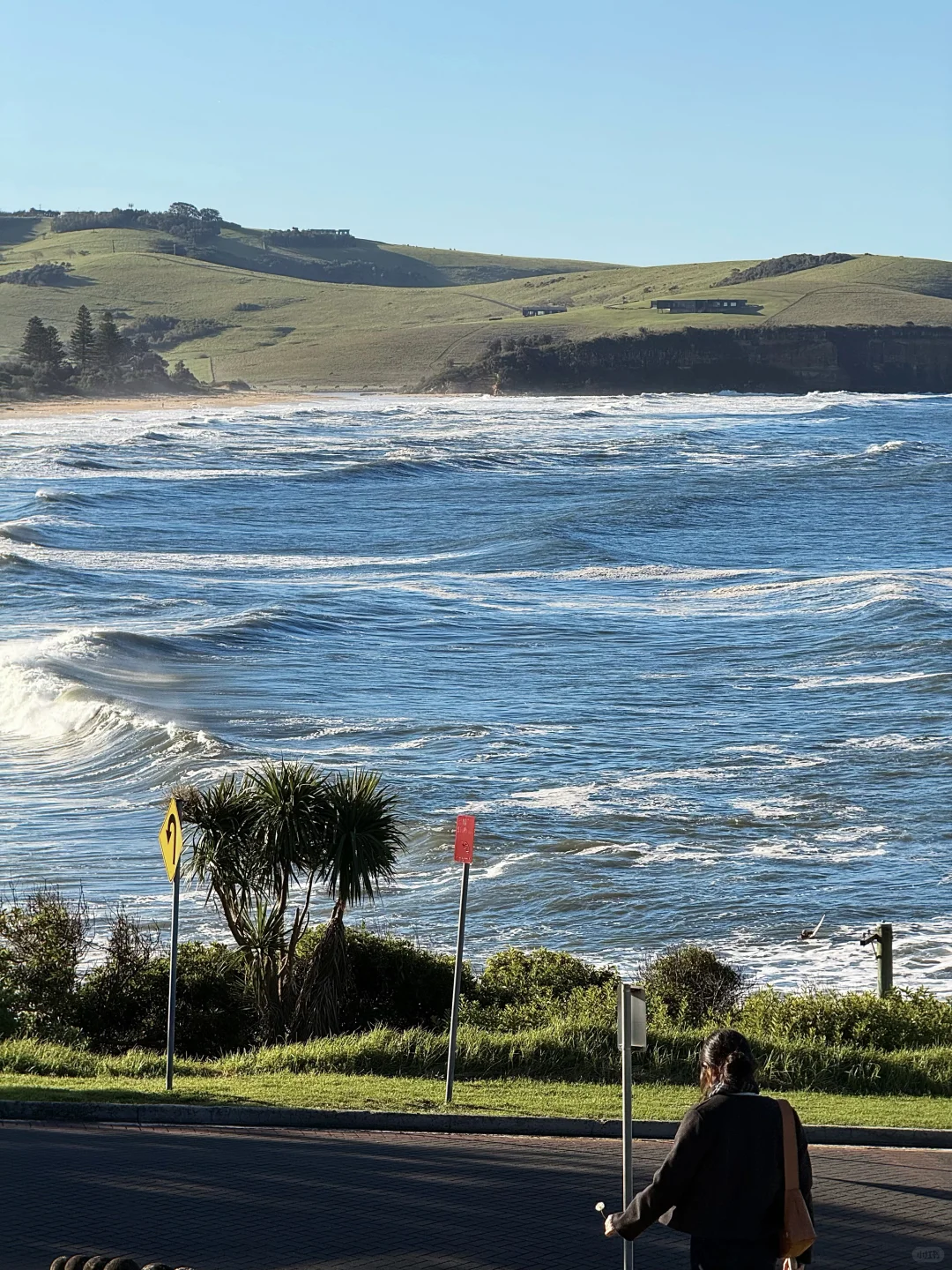 反季节的浪漫 南半球的海美到失语