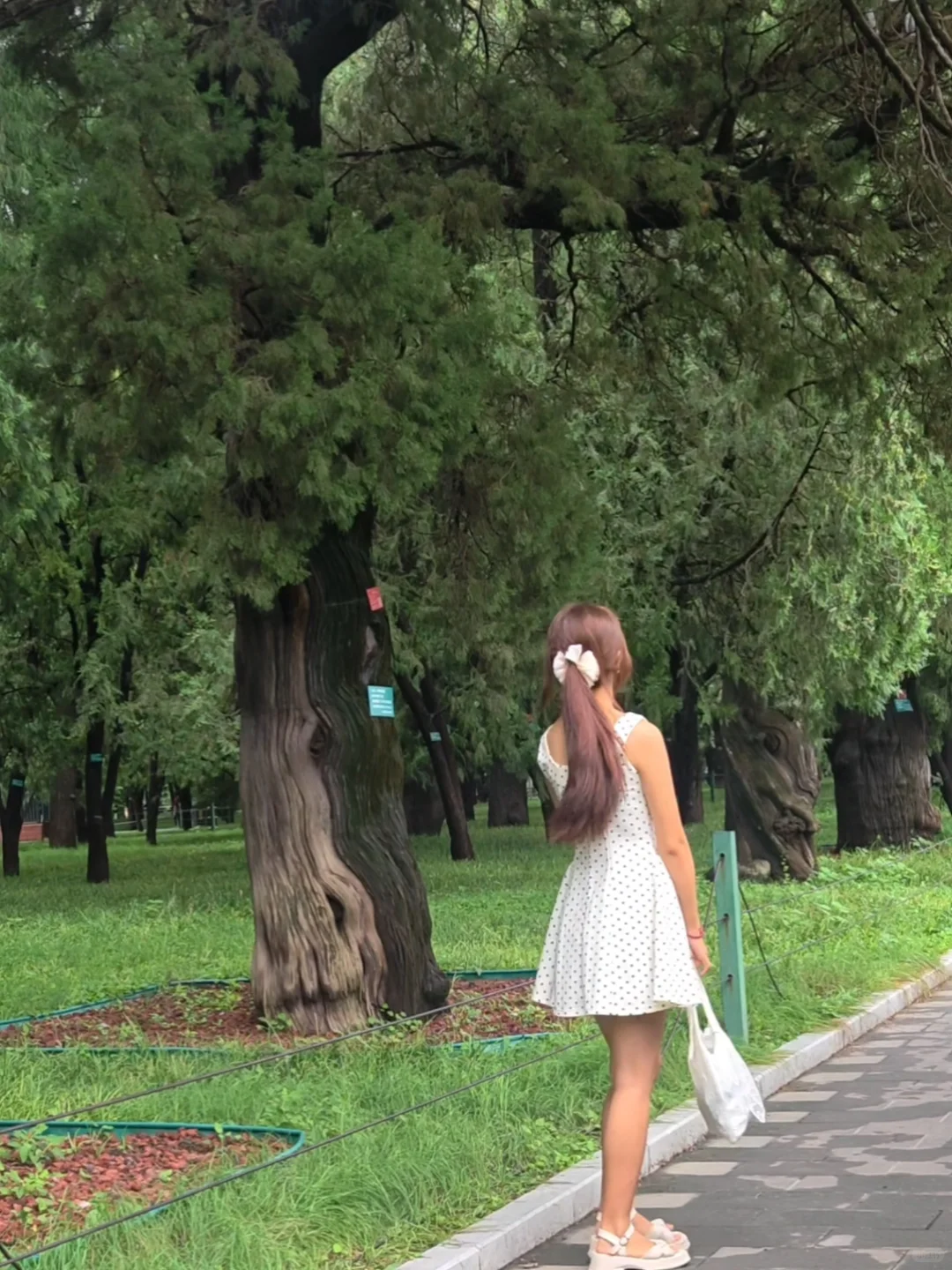 04女大📍北京一日游/保姆级路线攻略分享~