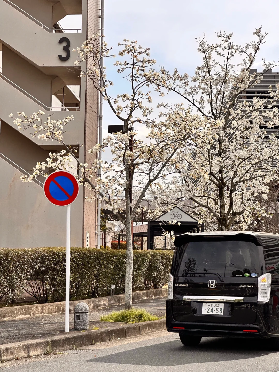 勇闯日本8天已回，别再听xhs乱说了😫
