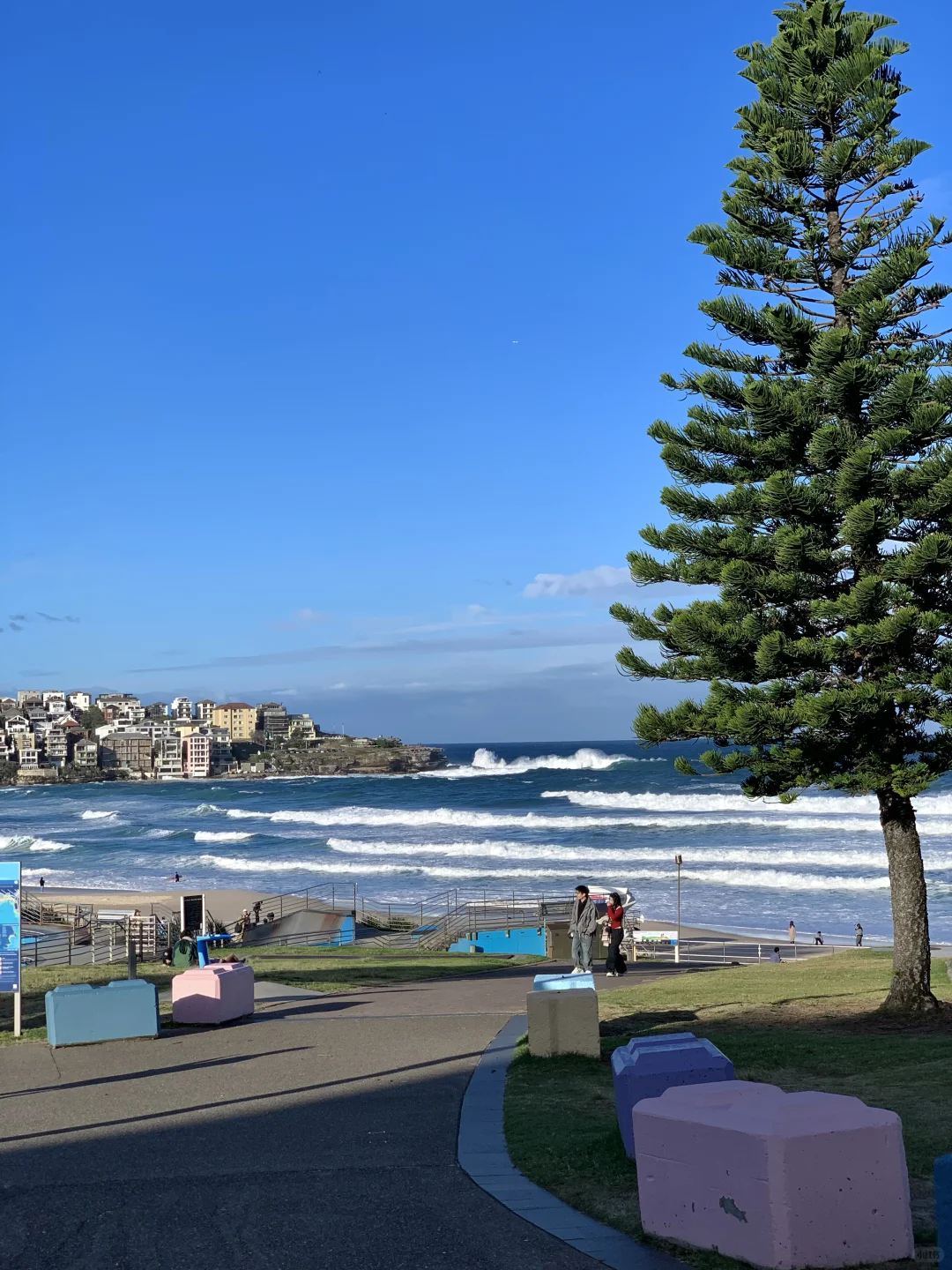 反季节的浪漫 南半球的海美到失语