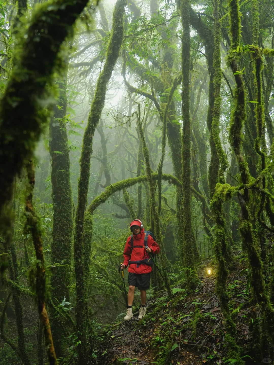这是我至今为止走过最美的徒步路线!