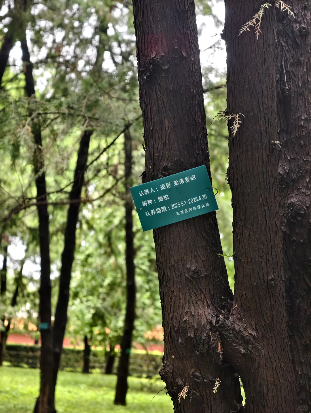 04女大📍北京一日游/保姆级路线攻略分享~
