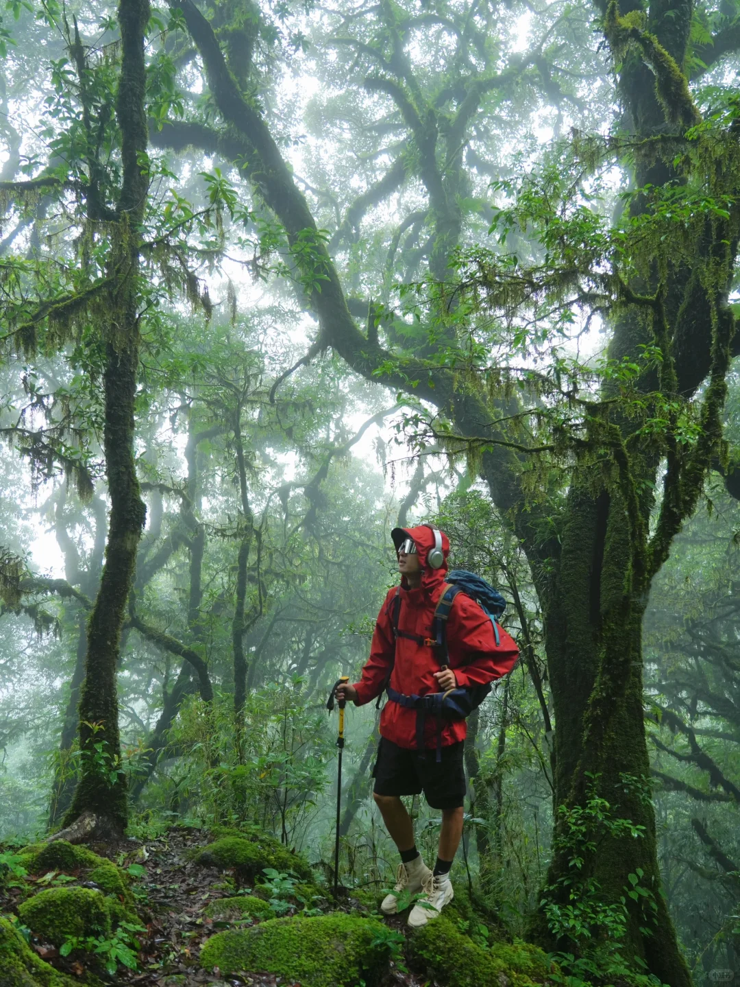 这是我至今为止走过最美的徒步路线!