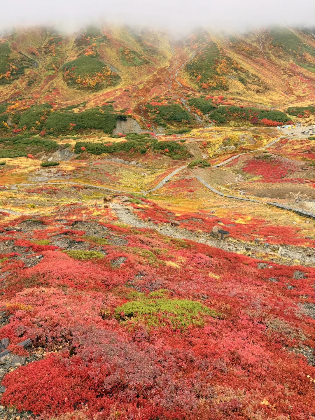 10.05油画立山🍁实况🧡💛❤️附拍照机位攻略