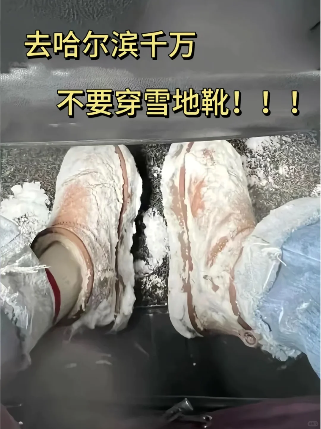 哈尔滨会惩罚每一个不做攻略的人类。。
