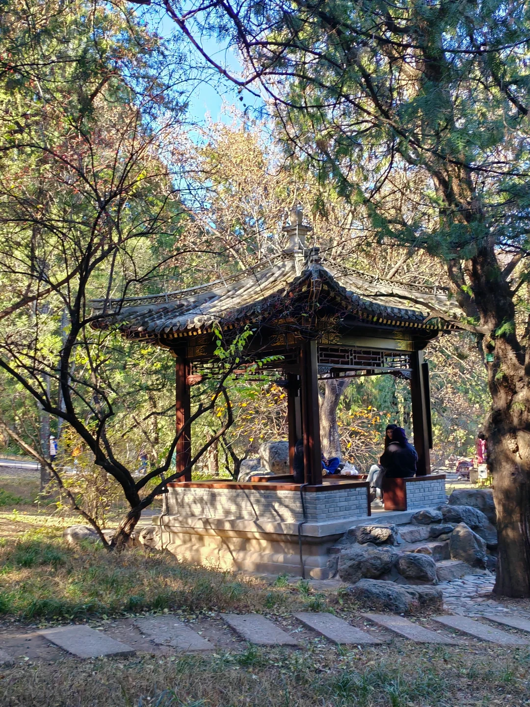 北京｜📍香山公园