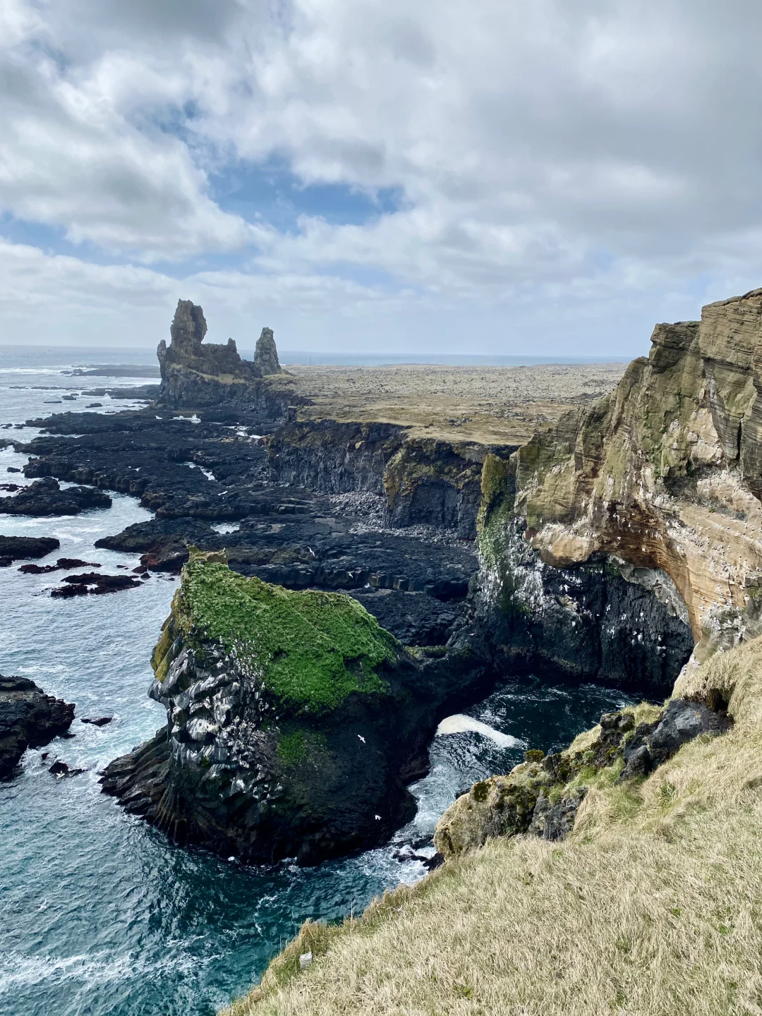 🇮🇸live图的意义在此刻具像化