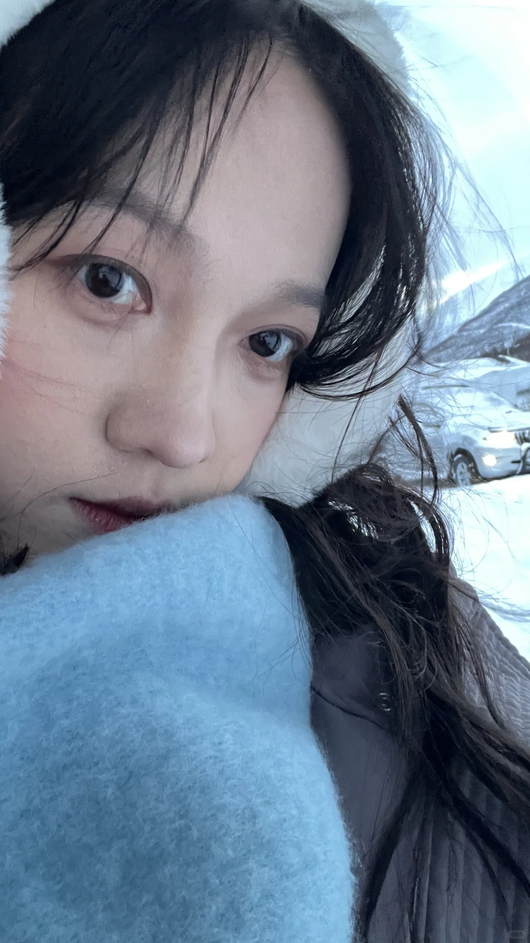 🇳🇴得了挪威病