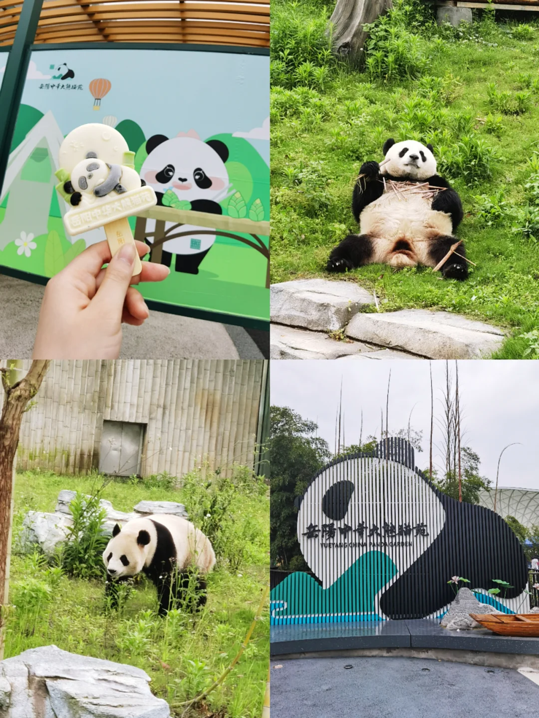 跟着书本去旅行——岳阳行程篇