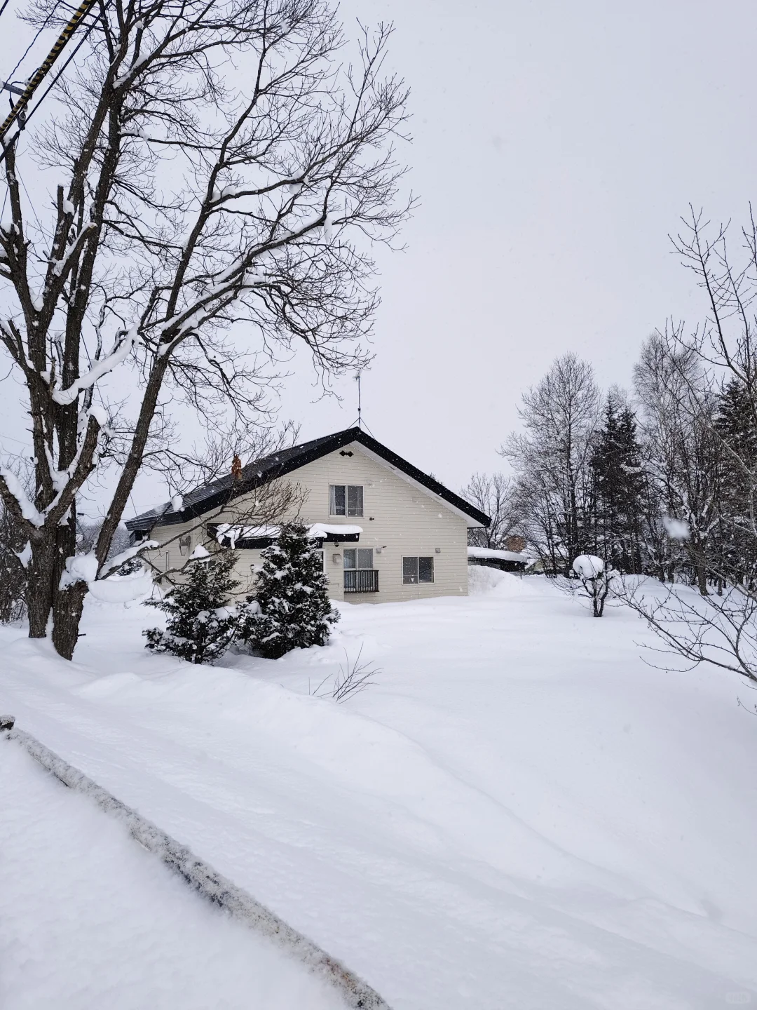 一旦去过北海道这辈子就完蛋了