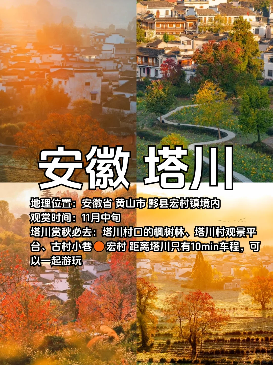适合10、11月去赏秋的10个城市合集🍁