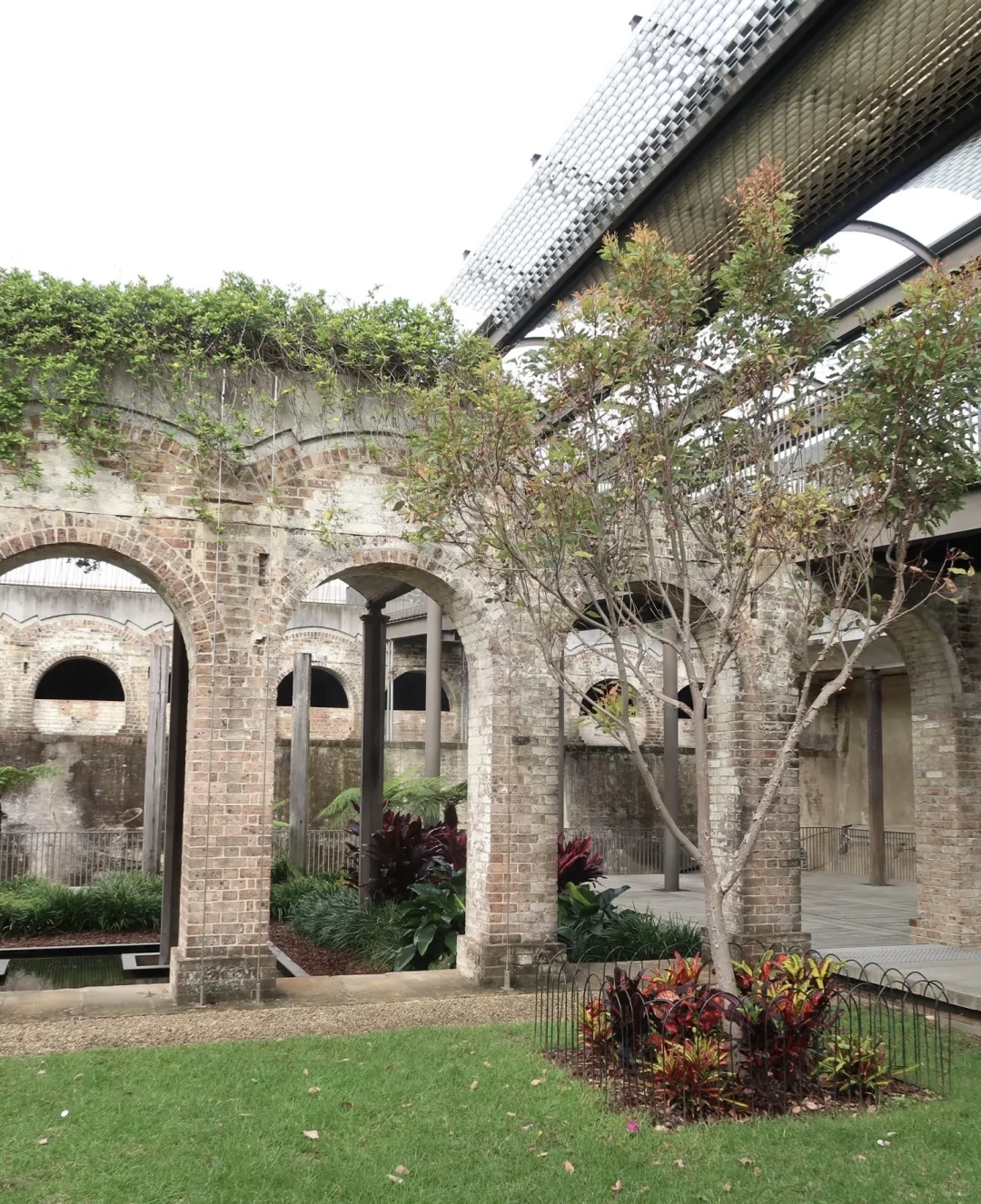 🇦🇺悉尼99%游客都错过的神仙玩法！