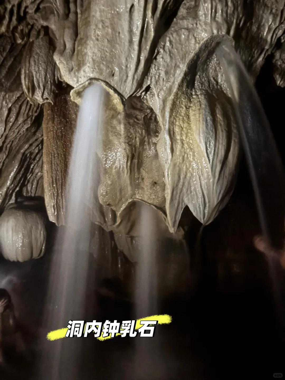 🇲🇽Tolantongo|墨西哥宝藏天然温泉♨️