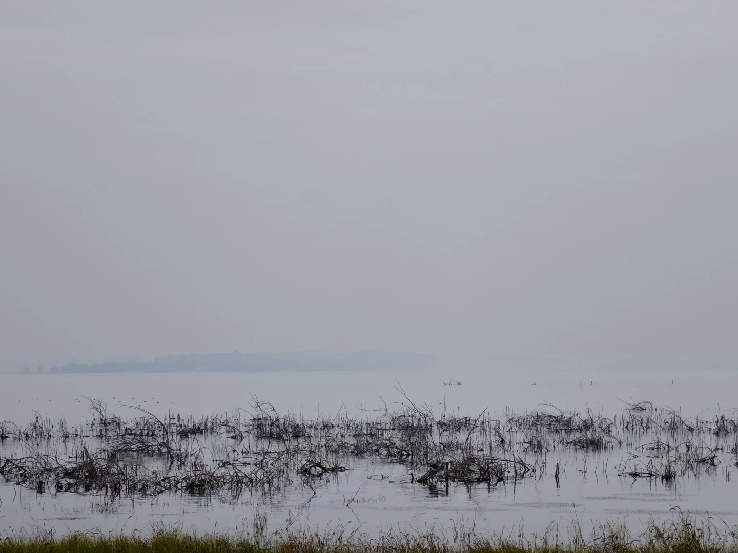 宝藏旅游小众景点——中原大佛