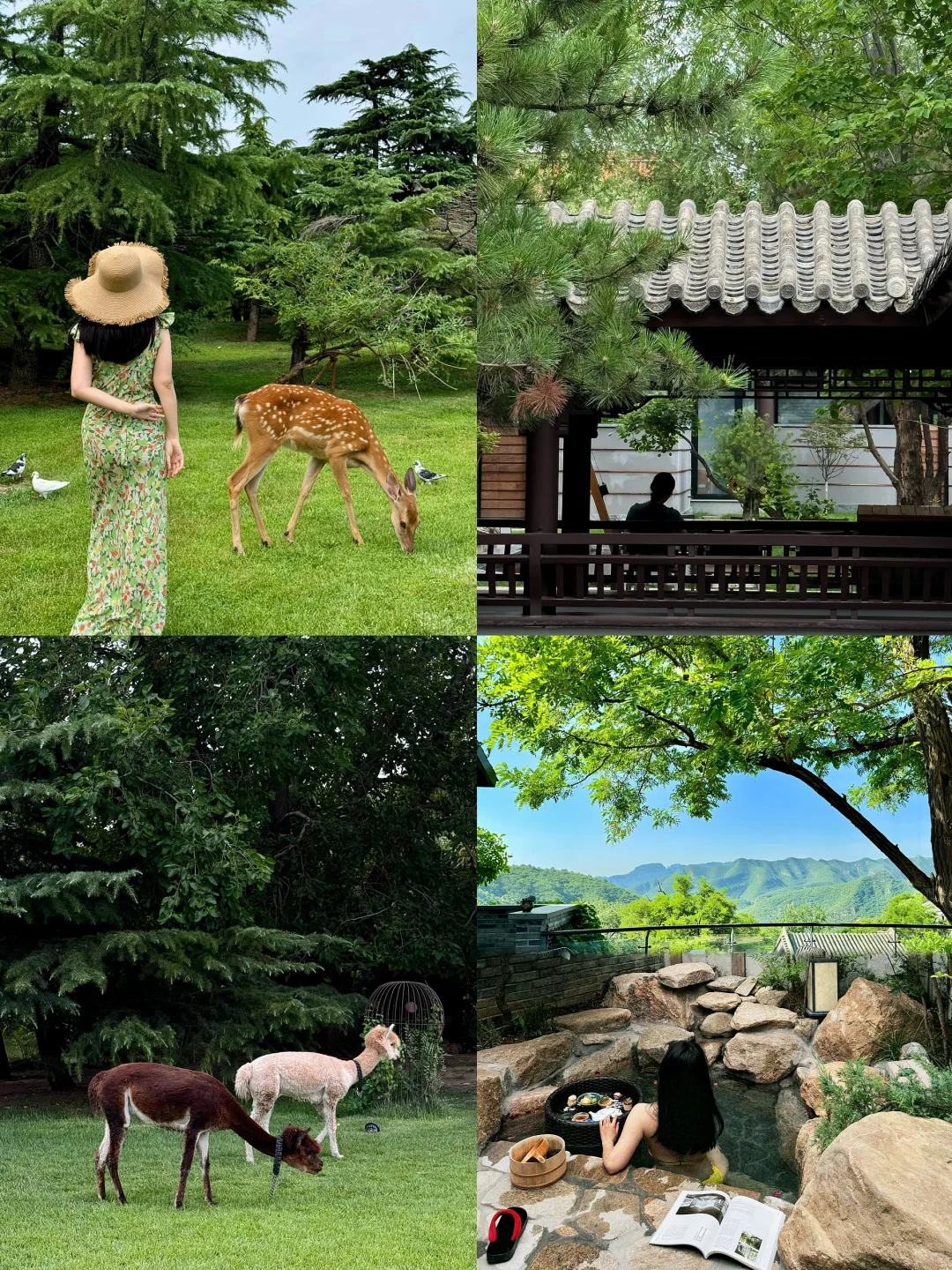 北京这17个大隐隐于市，有种不在地球的美‼️