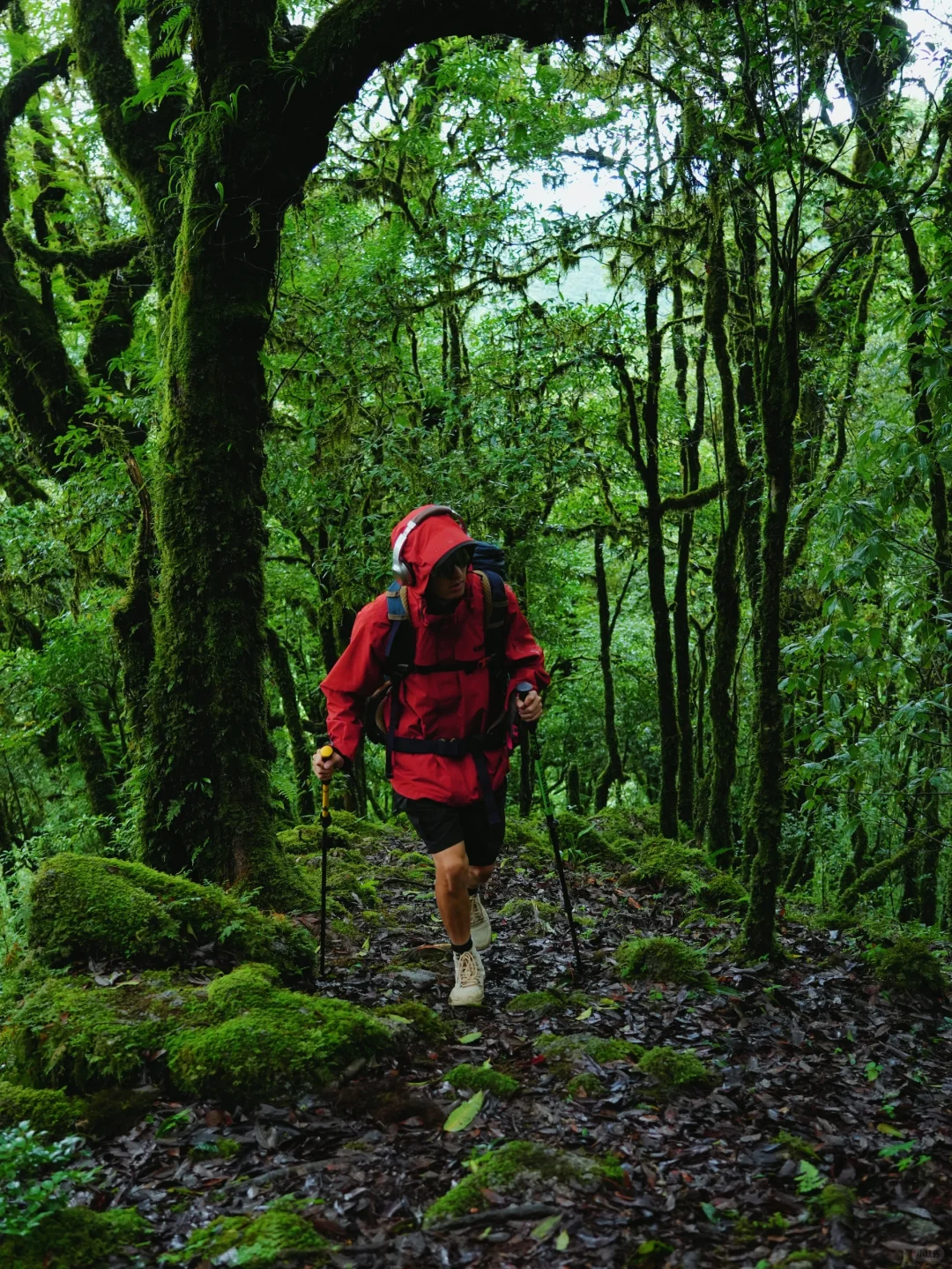 这是我至今为止走过最美的徒步路线!