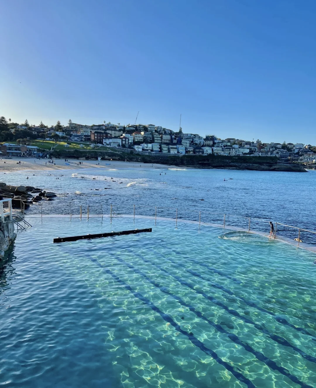 🇦🇺悉尼99%游客都错过的神仙玩法！