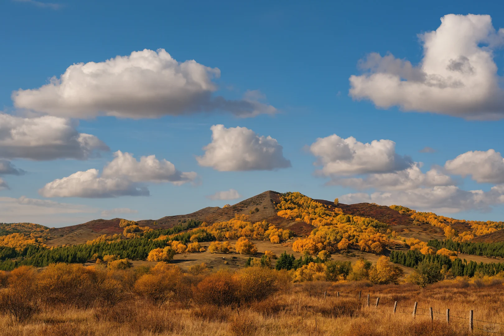 如果秋天有颜色,那一定是乌兰布统的斑斓