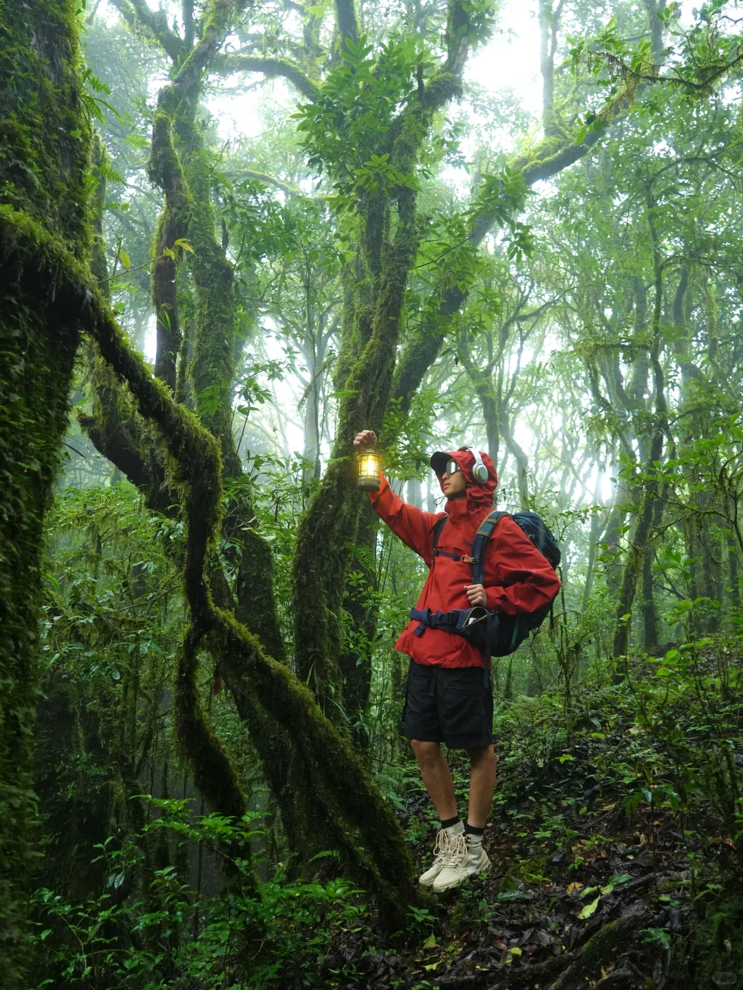 这是我至今为止走过最美的徒步路线!