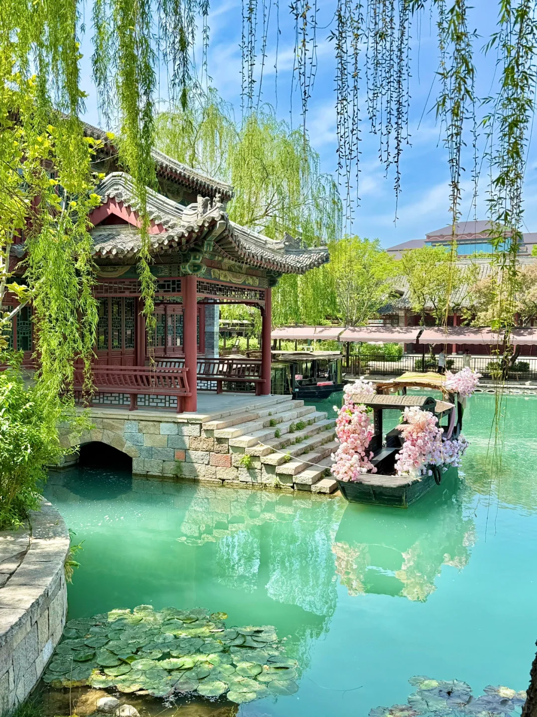 你说一句春不晚，我便来山东下“江南”