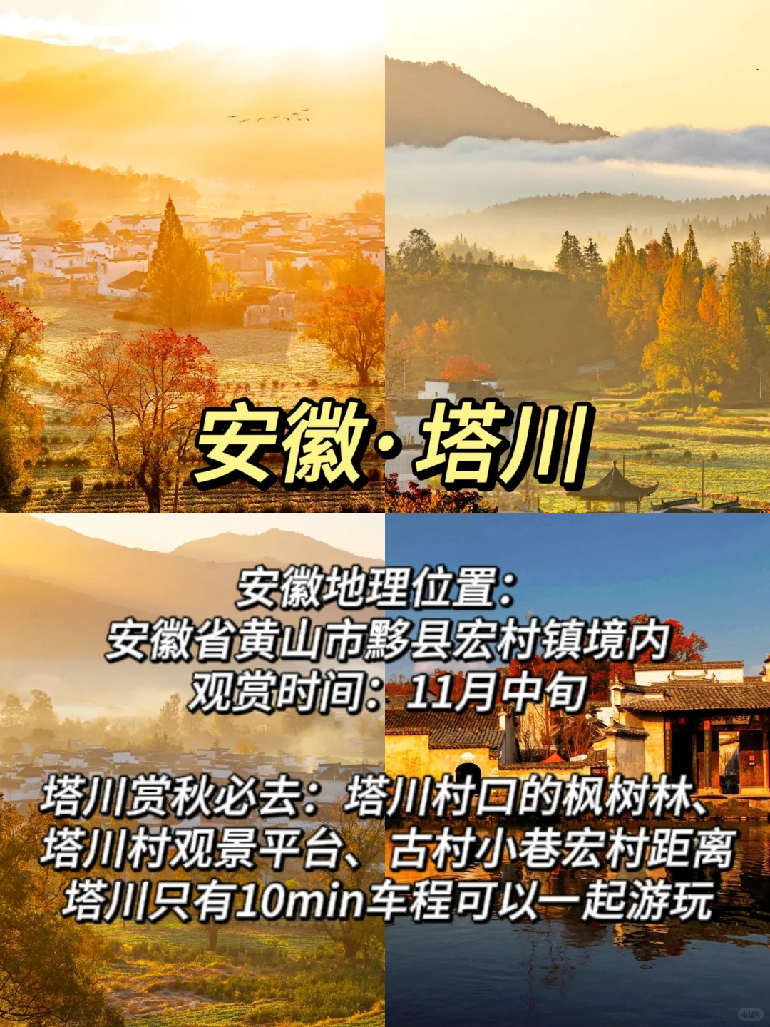 ✨适合11月赏秋的10个城市大合集🍁-