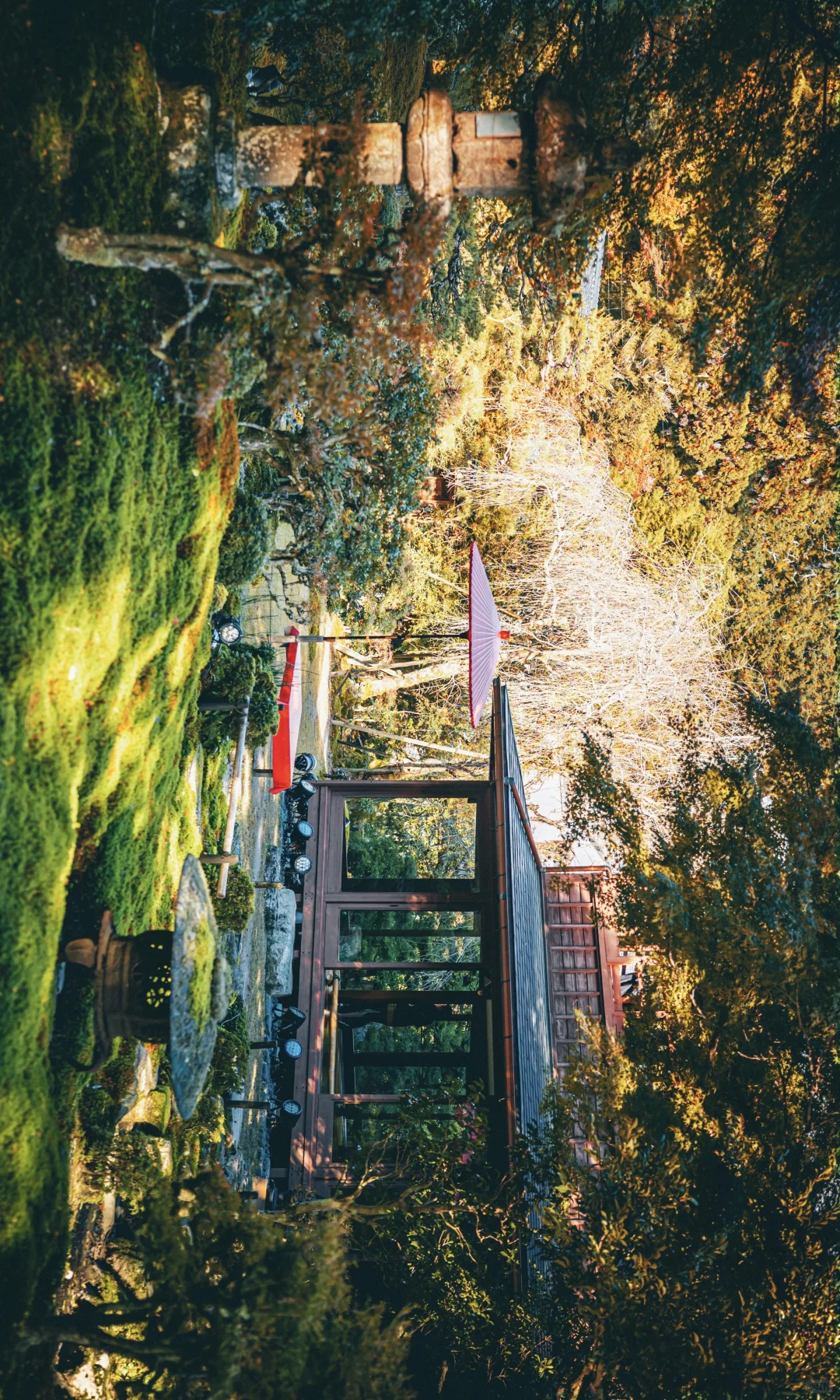 不输琉璃光院,在京都赏秋🍁花的最值的🔟块！