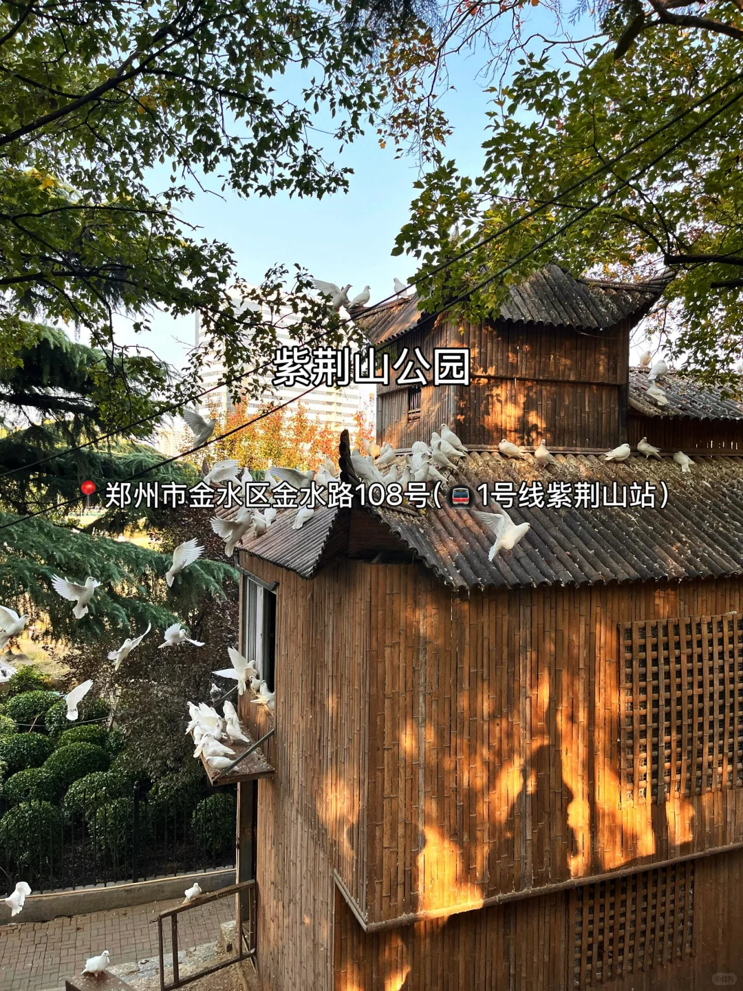 拜托🙏初秋来郑州这些景点一定要知道