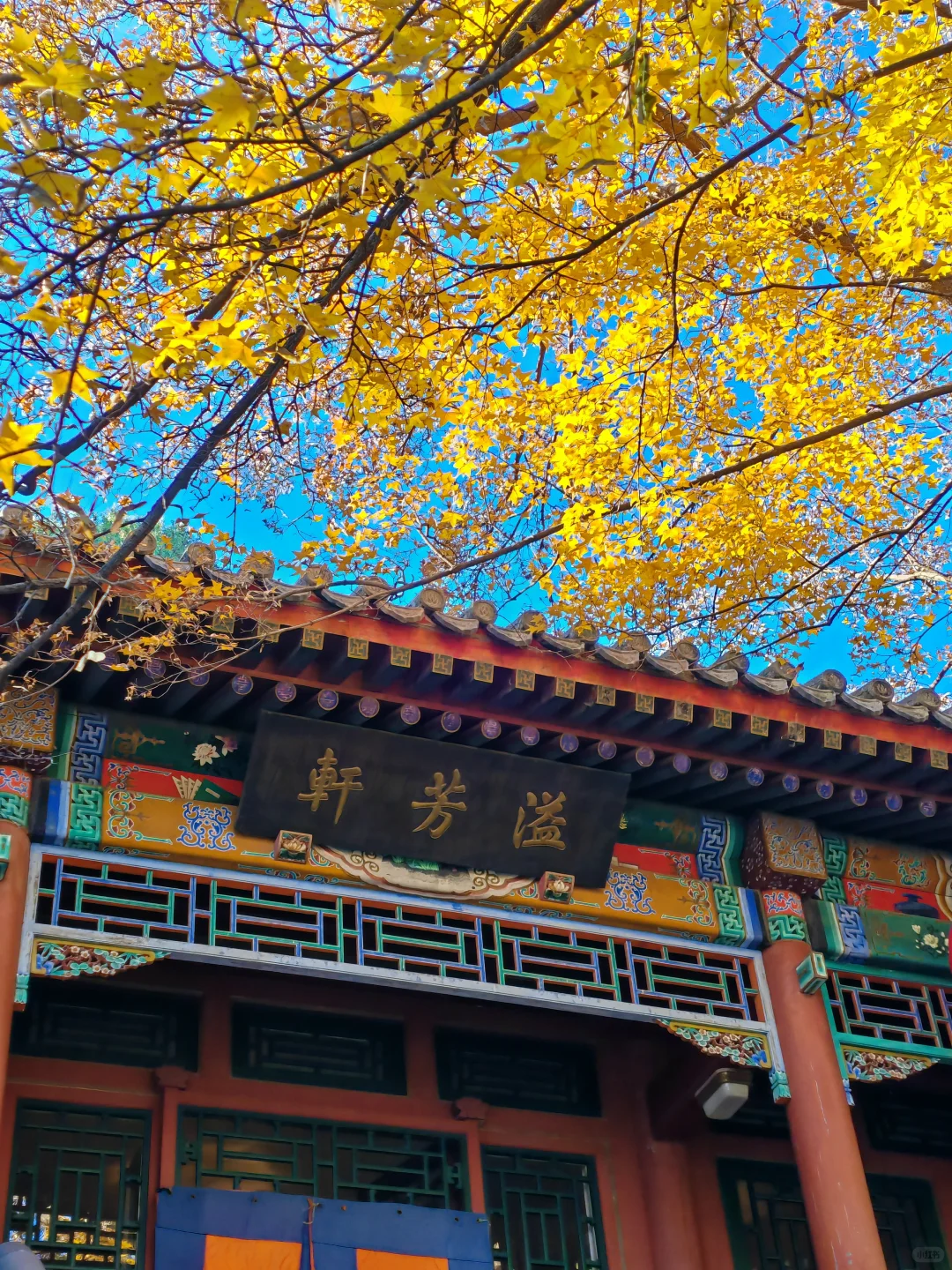 北京｜📍香山公园