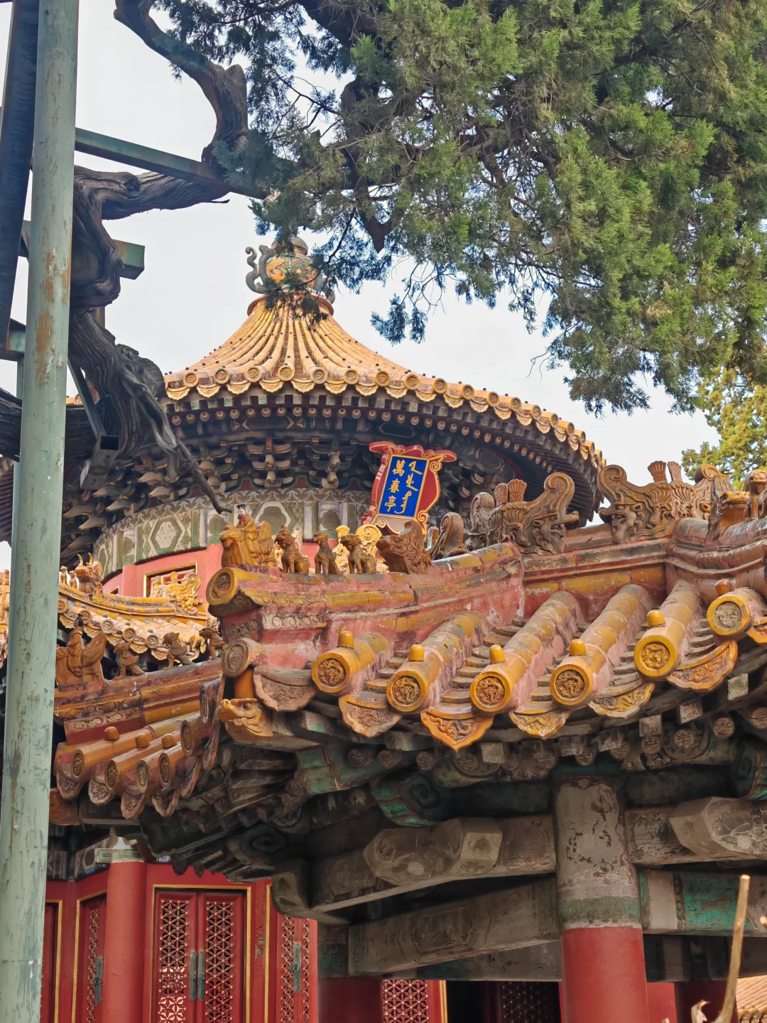 带父母去北京全过程