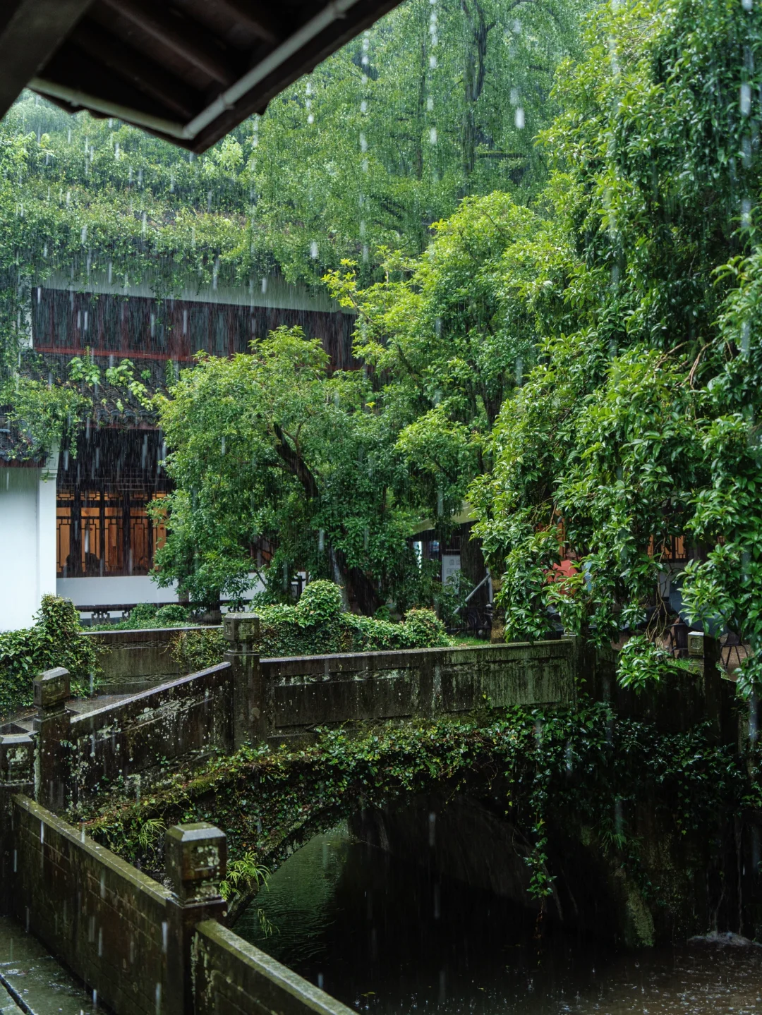 除了灵隐寺 断桥 我更喜欢杭州这9个地方🍃