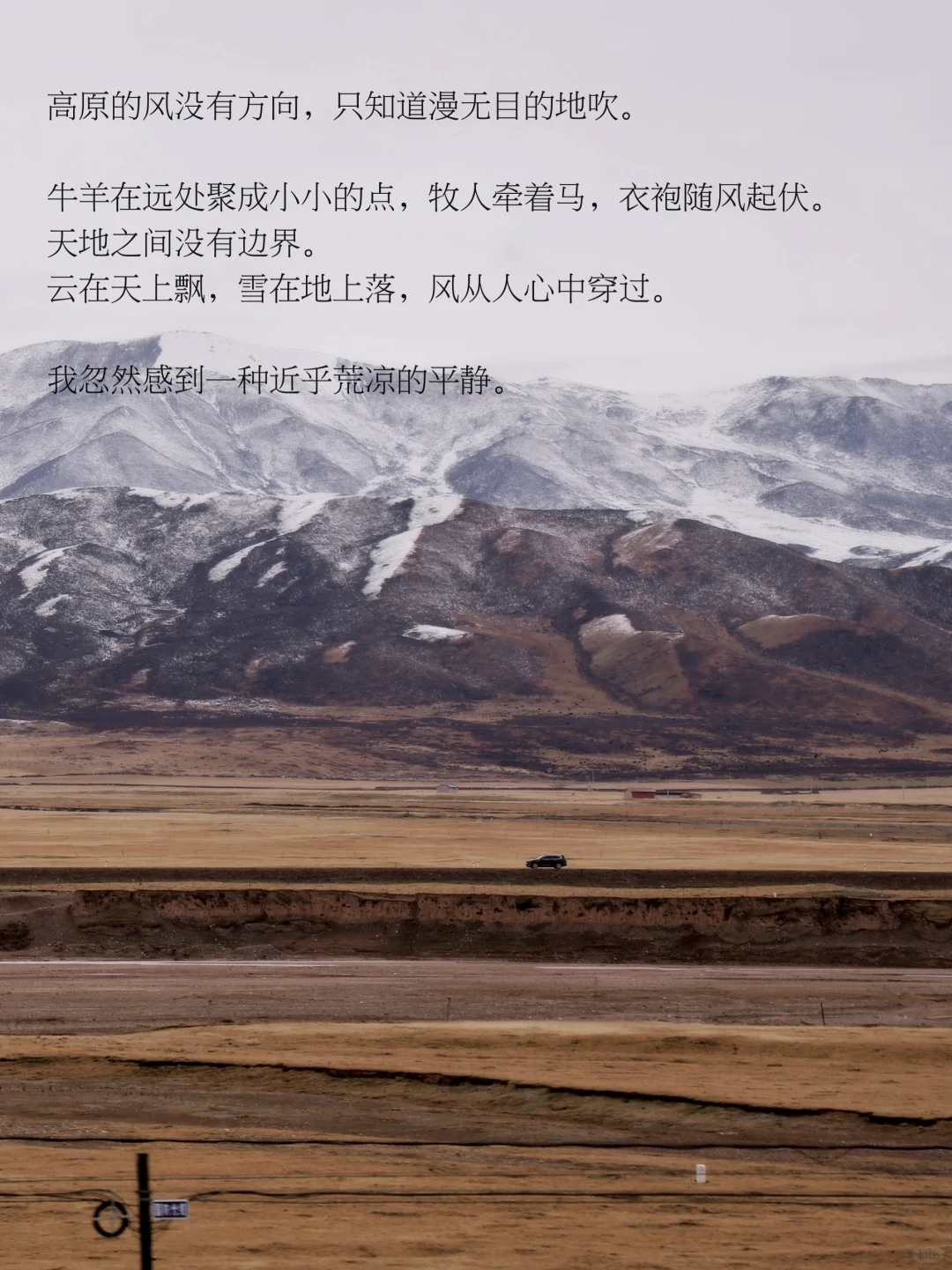 人为什么在辽阔天地面前，会无声流泪。