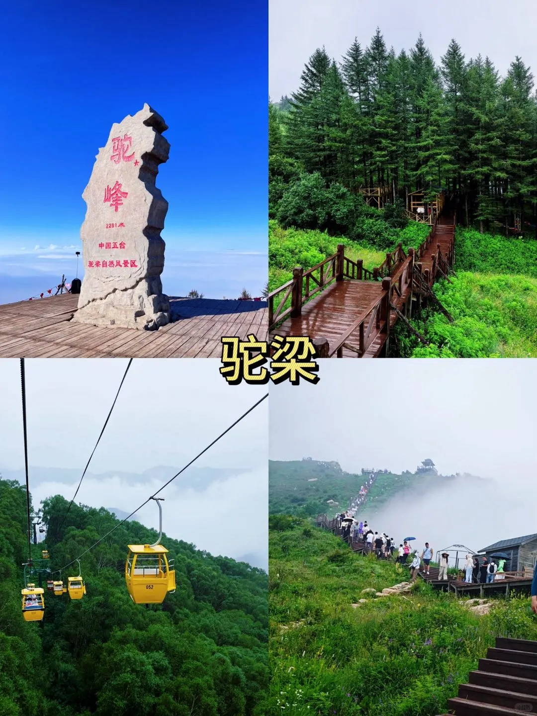 石家庄！这8️⃣个地方！我能逛吃一整天……