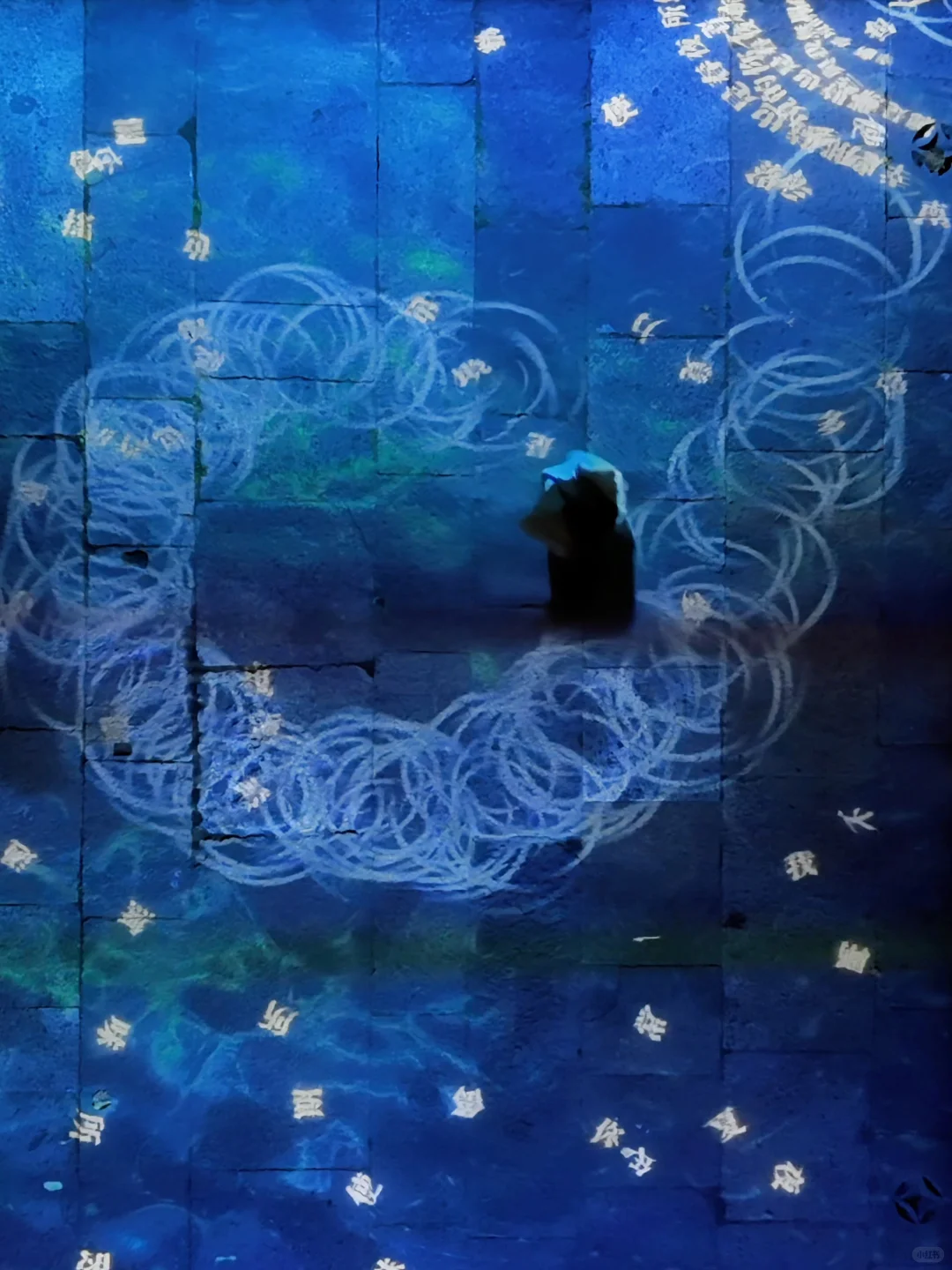 谁懂啊‼️带娃在乌镇过上了同款《向往的生活》