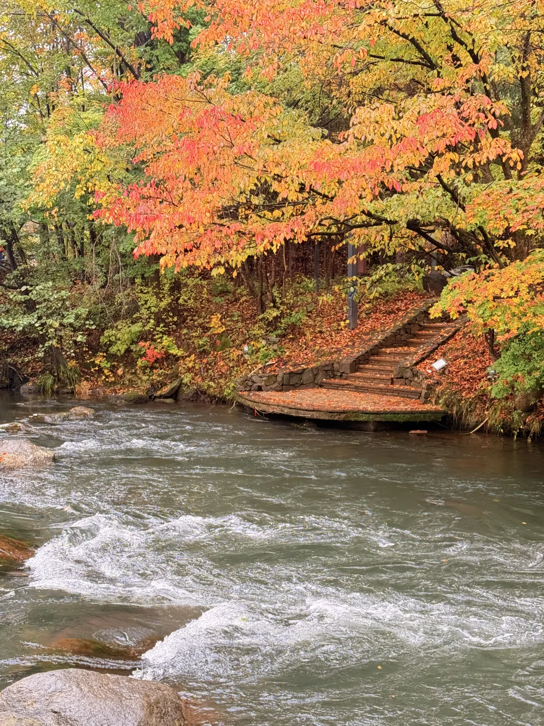 📍长白山|二道白河 秋色正浓~