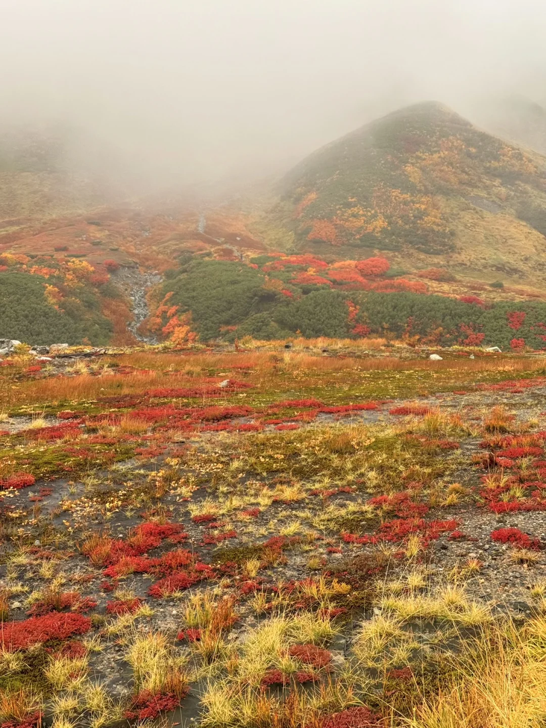 10.05油画立山🍁实况🧡💛❤️附拍照机位攻略